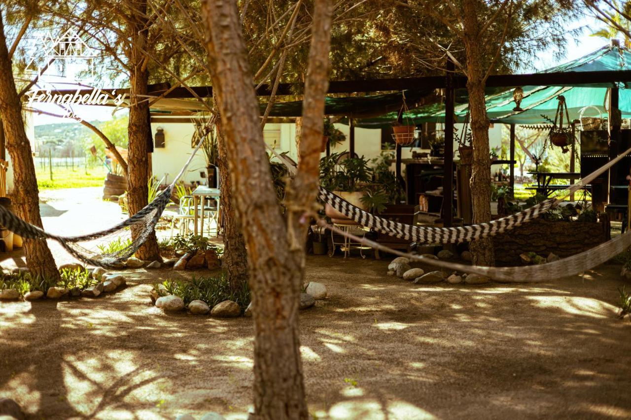 Fernabella'S Lodge Valle de Guadalupe Exteriér fotografie